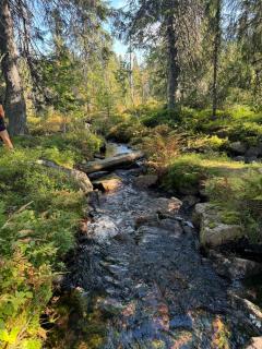 Cozy cottage in Tandådalen, Sälen, Dalarna, Sweden - Sälen - 7