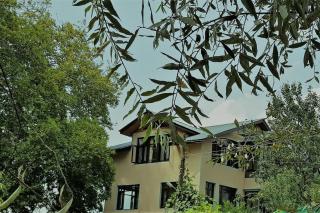 Chinar Cottage - Srinagar - 0
