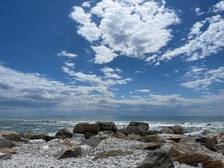 Villetta delle Acacie - Pisa - 5
