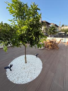 Skiathos Ideal Home - Megali Ammos - 8