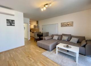 Stylisches Apartment am Murradweg - Graz - 9