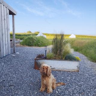 The Rounds - Pembrokeshire - 2