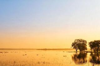 Miridiya Lake Resort - Anuradhapura - 3