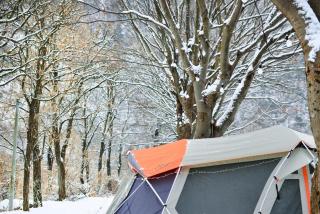 Riverside Forest Pension Camping - 8