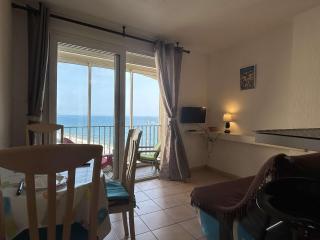 Appart studio cabine Banyuls Sur Mer BN630-002 - Banyuls-sur-Mer - 4