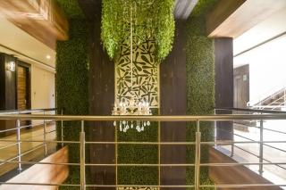 Hotel O The Bentree - Bhopal - 4