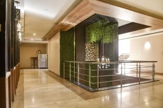 Hotel O The Bentree - Bhopal - 6