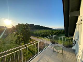 Ferienwohnung Hopfenblick Dachterasse 3SZ Bodenseeregion - Tettnang - 5