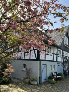 Fachwerkliebe Ornes 1 - Olsberg - 9