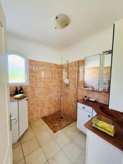 Le Pin d'Alep - Bormes-les-Mimosas - 3