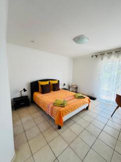 Le Pin d'Alep - Bormes-les-Mimosas - 5