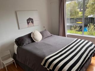 Whangapoua Black Bach - Whangapoua - 4