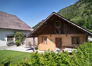 Seppenbauernhütte in Bad Ischl im Salzkammergut - Bad Ischl - 8