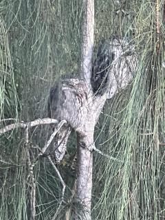 Hardys Bay Rental - 6