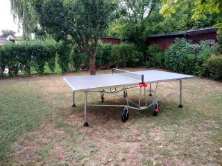 Holiday home in Balatonfenyves 18431 - 8