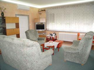 Holiday home in Balatonszarszo 48120 - 9