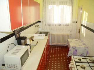 Holiday home in Balatonszarszo 48120 - 4