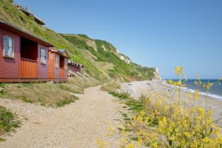 Swallow Chalet - Branscombe - 0