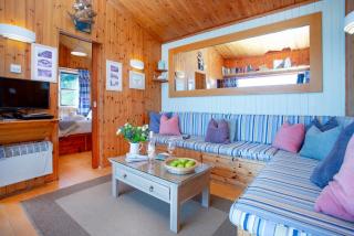 Wagtail Chalet - Branscombe - 8