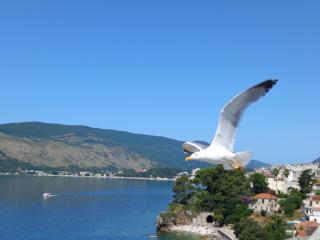 Bay View Apartment - Herceg-Novi - 5