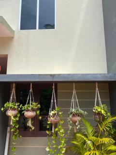 Mud apples Rooms - Varkala - 2