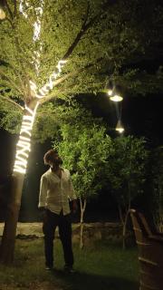 Yogi resort and restaurant - Ajmer - 7