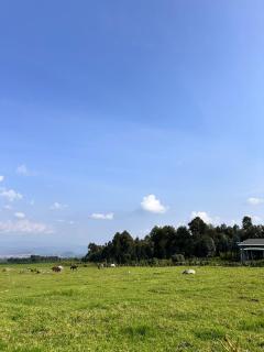 Farmhouse Rwanda - Kinigi - 4