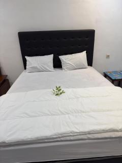 Casa kinari homestay - Giri - 2