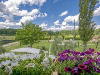 Tenuta Daussie' - Capannori - 2