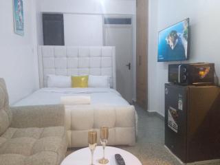 Furnished studio apartment - Nairobi, Kenya - Nairobi - 0