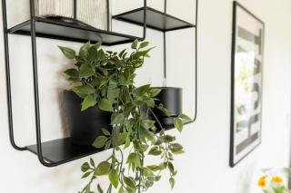 Ferienwohnung Ausblick - Braunlage - 5