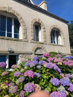 Chambre d'hote Locronan - Locronan - 1