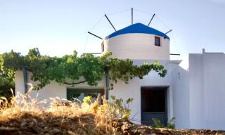 Sifnos Roots - 3