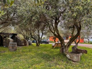 Agriturismo Su Nuratolu - 6