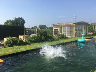 Tiny house at the ecological swimming pool - Deerlijk - 7
