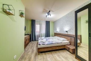 Two Cozy Mint Studios in Grand Resort Pamporovo bt Flat Manager - Pamporovo - 0