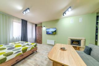 Two Cozy Mint Studios in Grand Resort Pamporovo bt Flat Manager - Pamporovo - 4