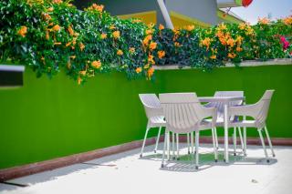 Antelope homestay - - 2