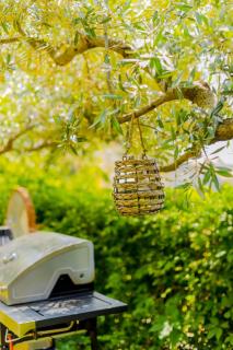 Nature Lovers-Golden Beach - Chrysi Ammoudia - 7