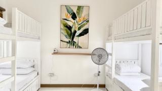 Serene Haven III in Tomas Morato - Manila - 4