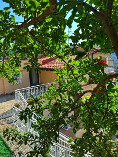 Villa Lollo - Camporosso - 7