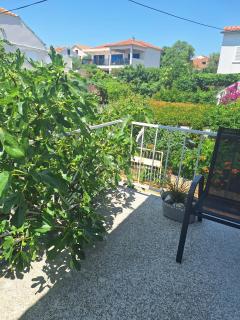 Under the Fig tree - 1