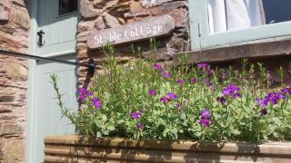 Wonderfully situated in the heart of Exmoor - 8