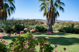 De Denne Country Guest House - Oudtshoorn - 6