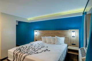 Exclusivo Inn by OYO Grand Prairie, TX - Grand Prairie - 4