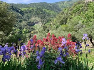 Serene Holiday Home in Les Salelles with Swimming Pool - Chambonas - 2