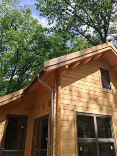 Jesse's Log Cabin - Norg - 4