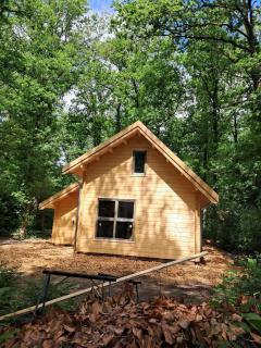 Jesse's Log Cabin - Norg - 3