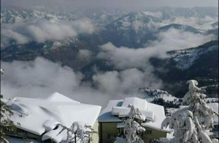 Gotru Hotel - - 4