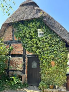 Thatched Cottage Hotel - Brockenhurst - 7